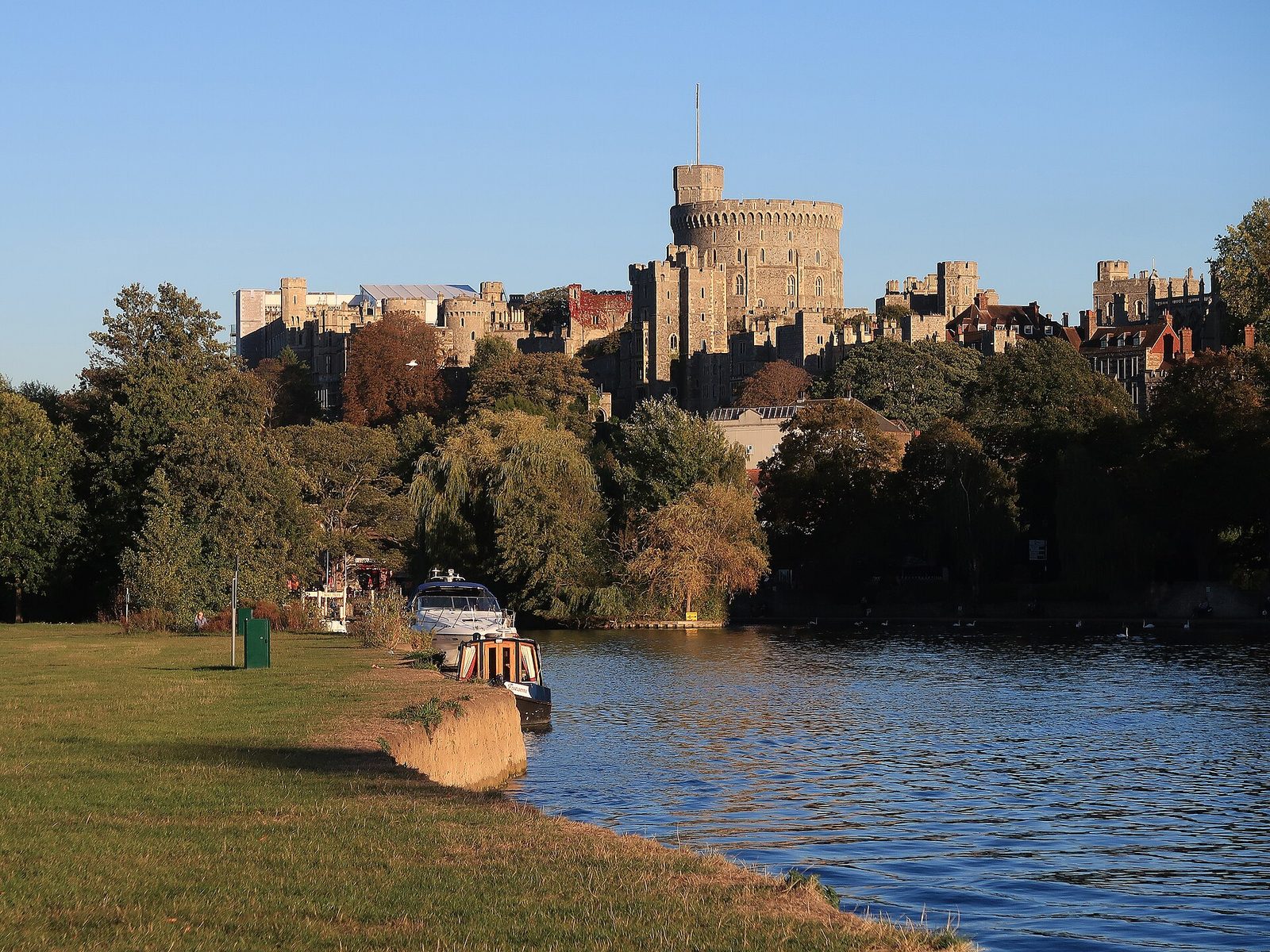 Windsor